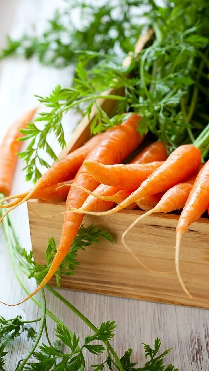 Carrots.1