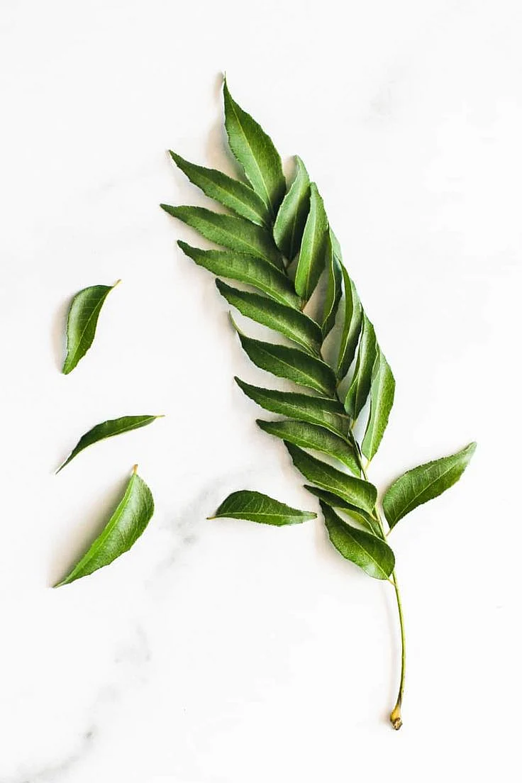curry leaves