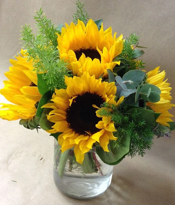 Sunflower.6