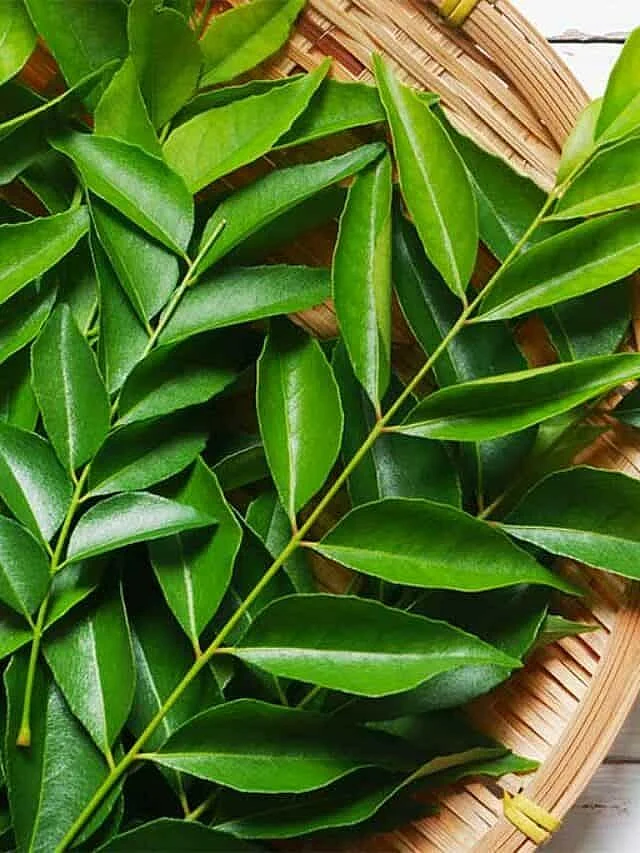 curry leaves