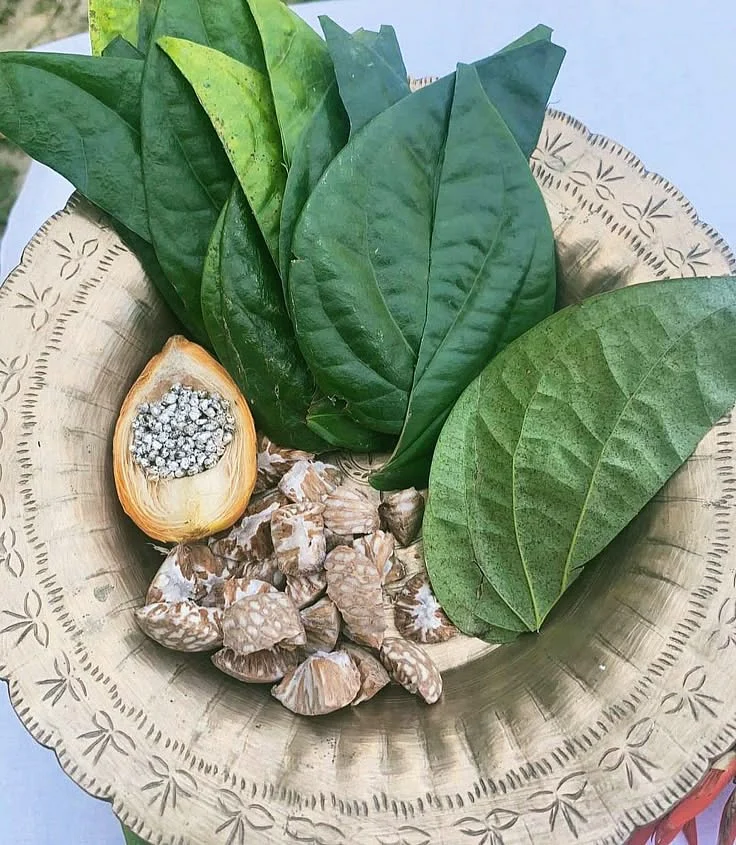 Paan leaves