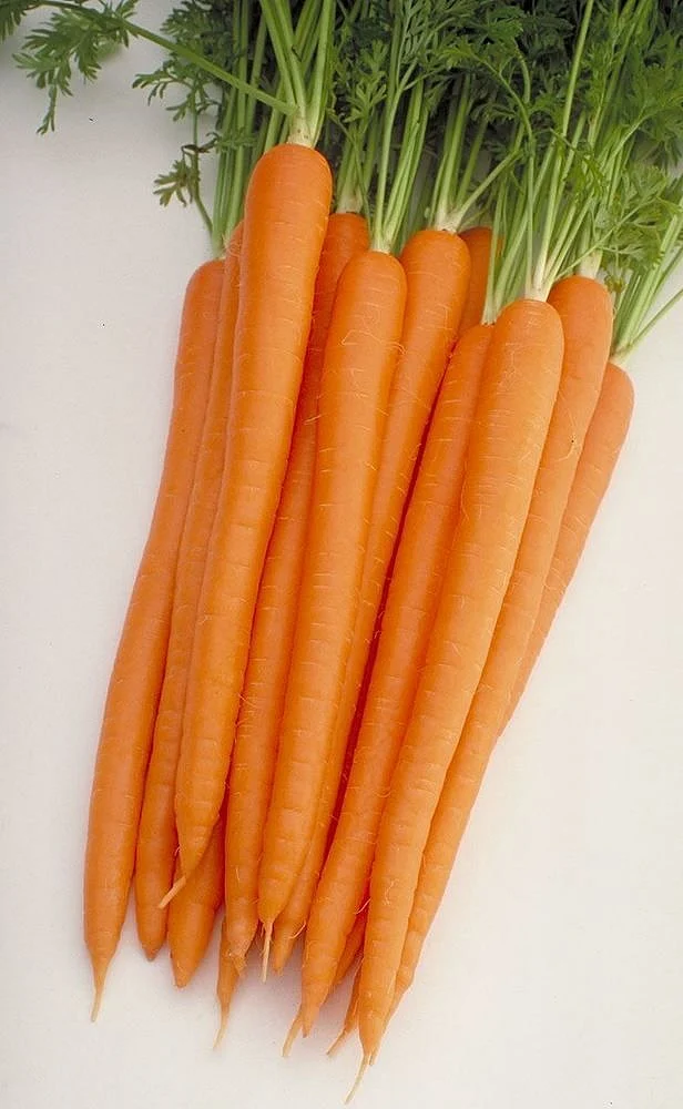 Carrots.6