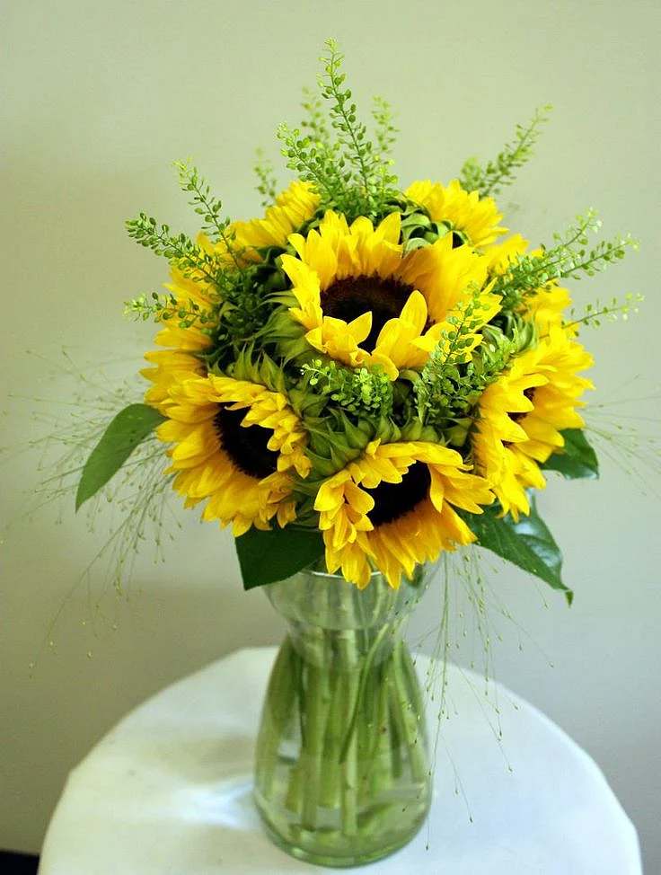 Sunflower.8