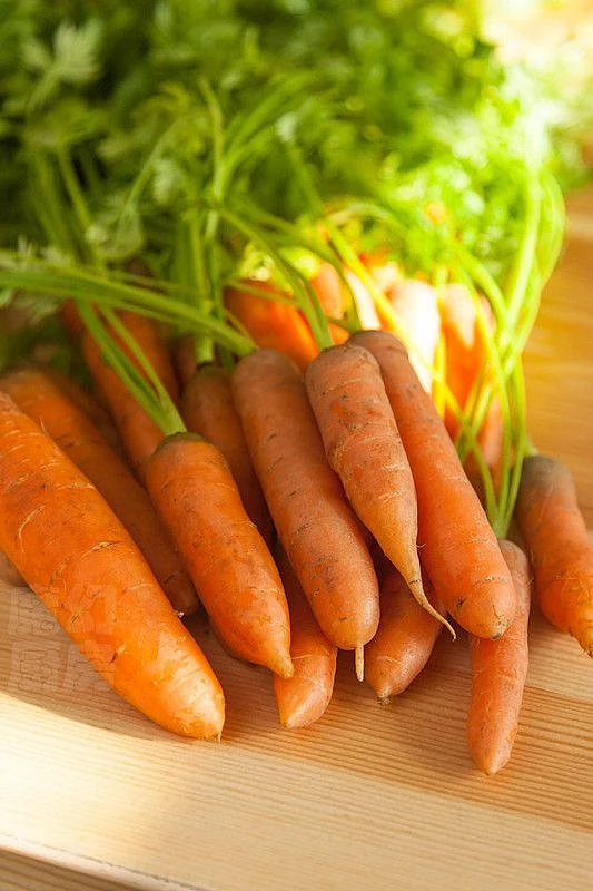 Carrots.7