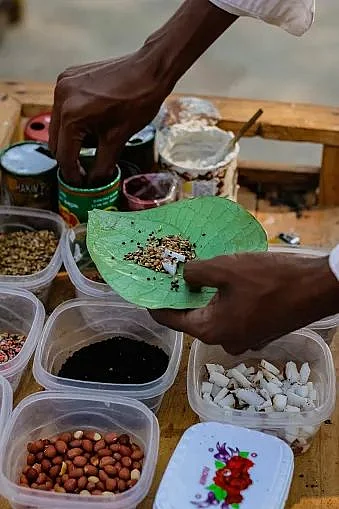 Paan leaves 8