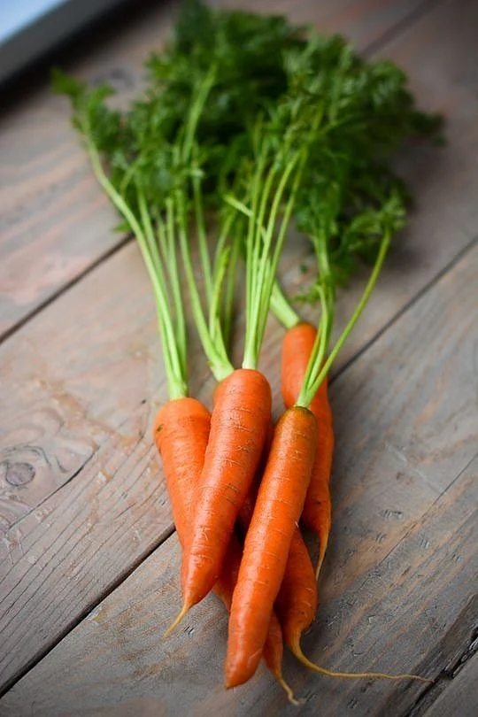 Carrots.3