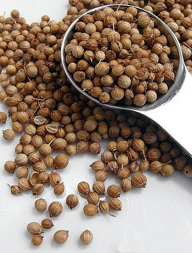 Coriander seeds 3