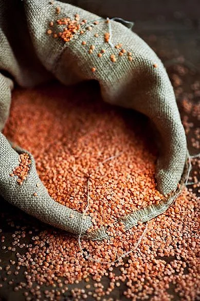 Masur lentils 1