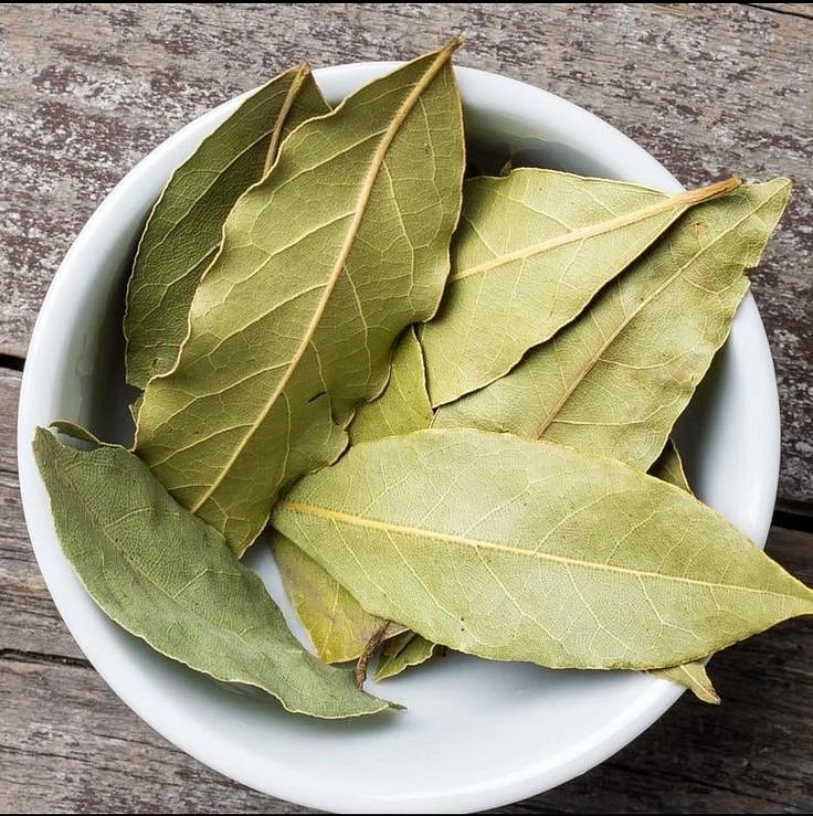 bay leaf.5