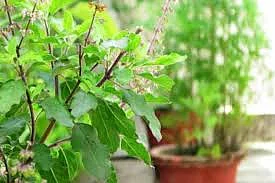 images 95
