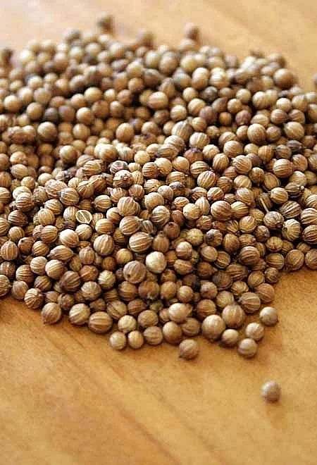 Coriander seeds 2
