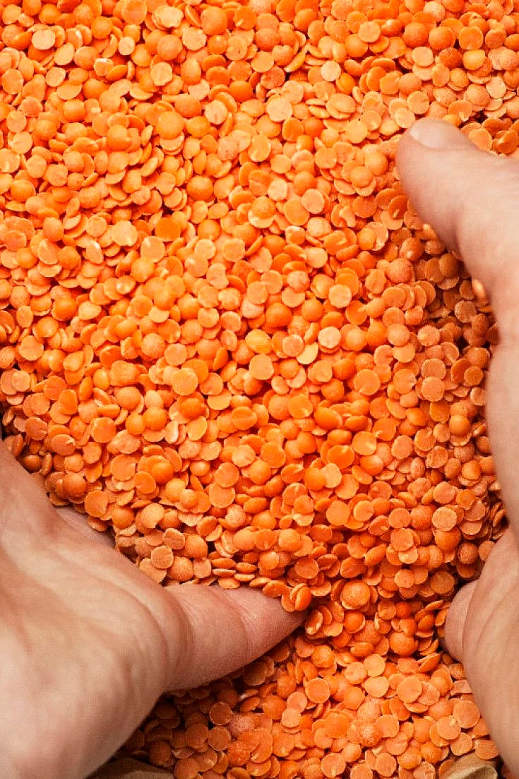 Masur lentils 4