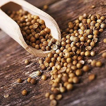Coriander seeds 4