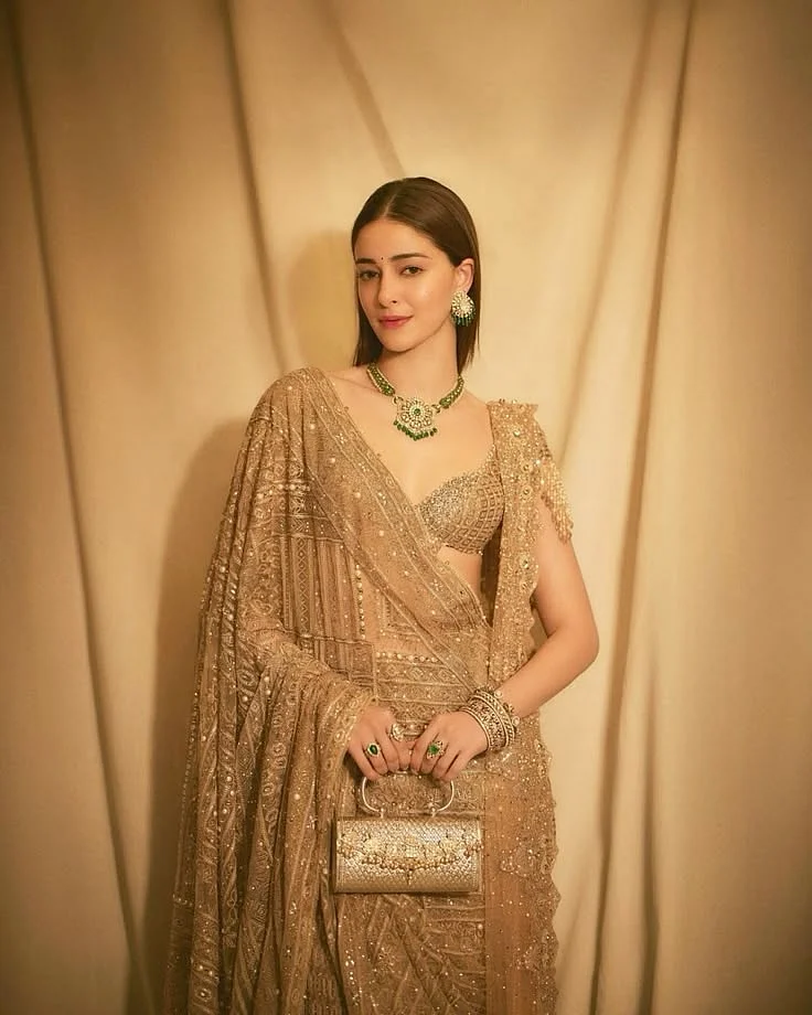Golden Saree 9