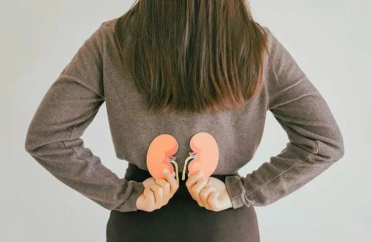 kidney