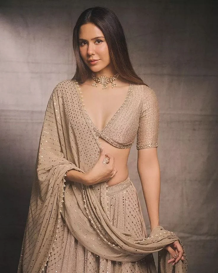 Sonam Bajwa 4