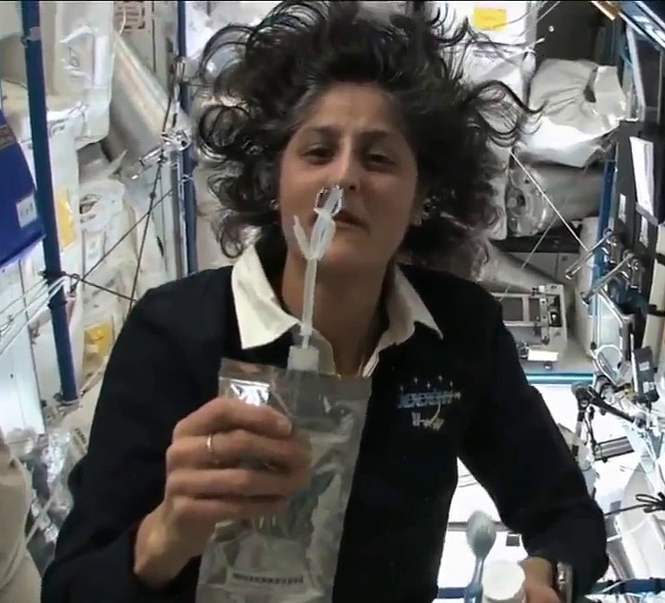 Sunita Williams 7
