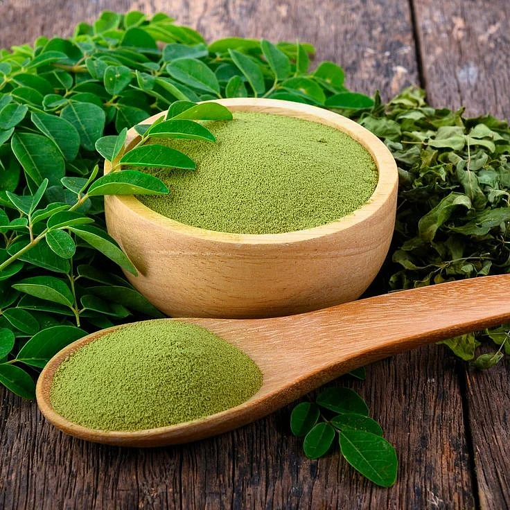 Organic Moringa Powder Superfood Boost for Smoothies Tea and Cooking Rich in Vitamins and Minerals Walmartcom