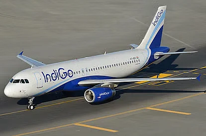 indigo1492339900