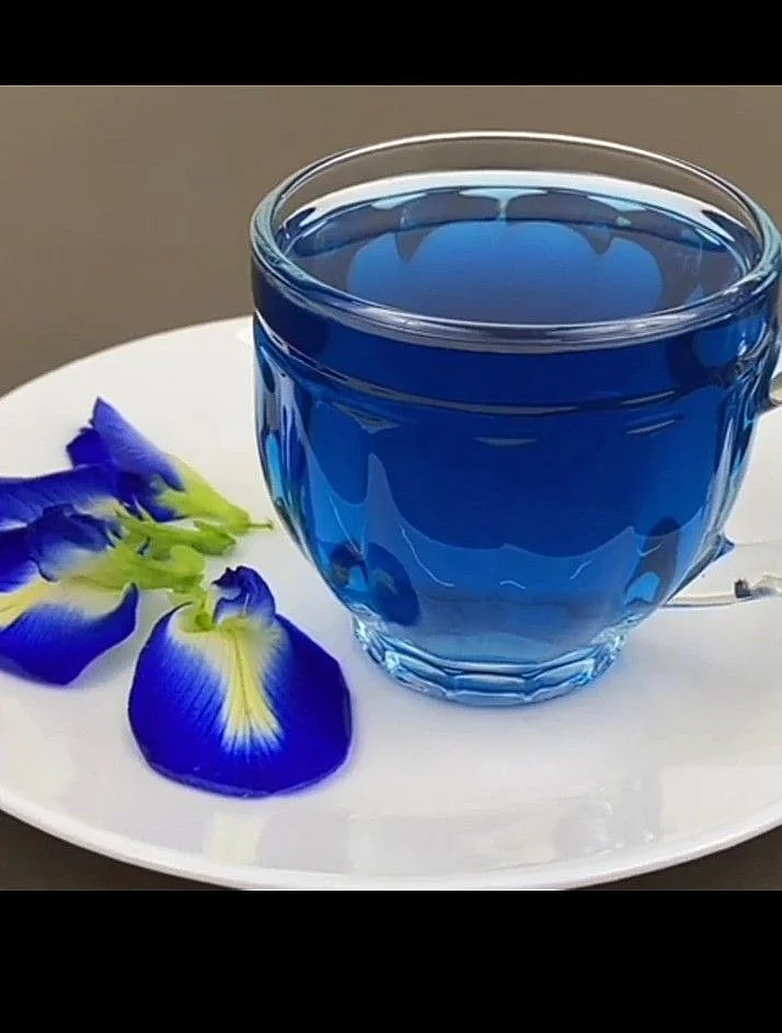 Most Healthy Thai Blue Tea Recipe For Diabetic weightloss