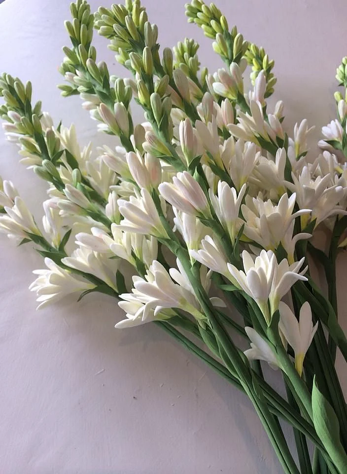 Tuberose