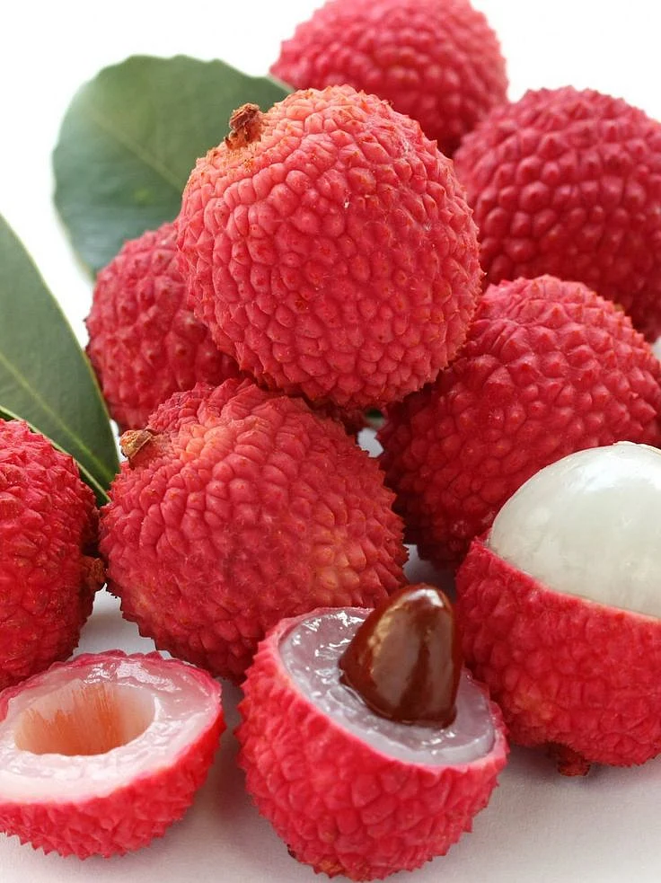 Lichia Litchi chinensis É uma espécie do gênero…