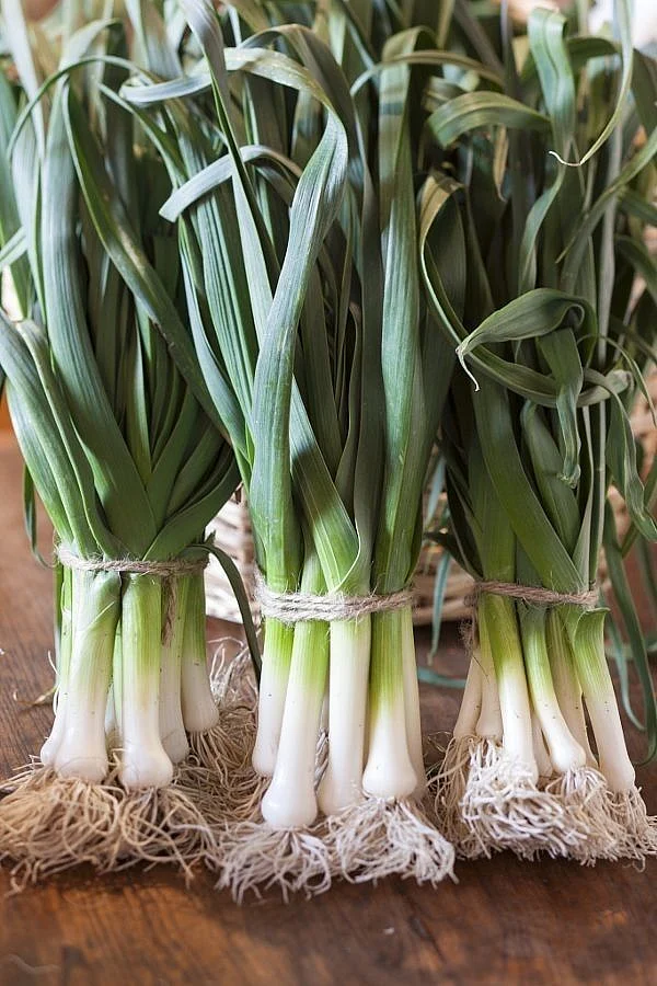 Green Onion 2