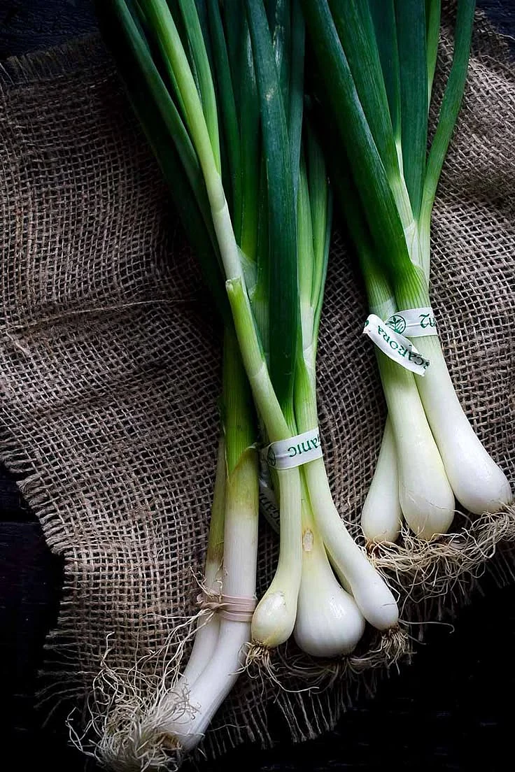 Green Onion 3