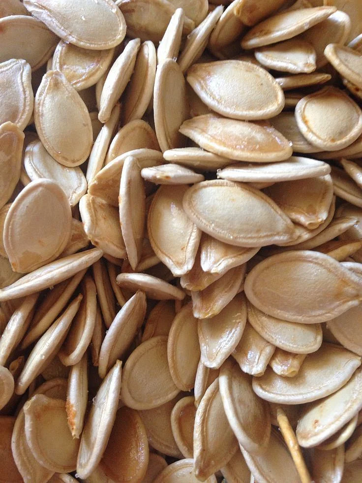 Pumpkin Seeds 9