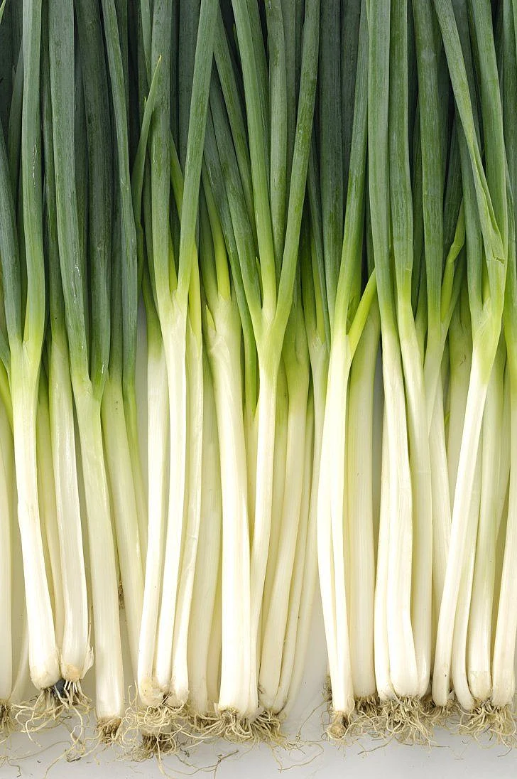 Green Onion
