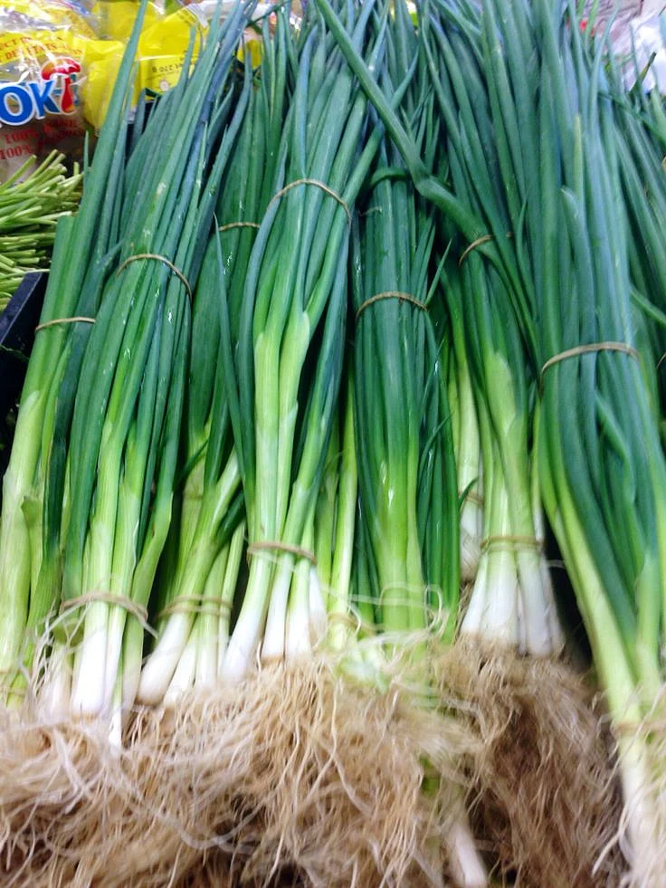 Green Onion 7