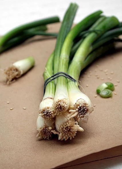 Green Onion 4