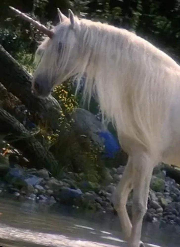Yes Unicorns Actually Existed .