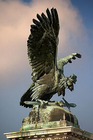 Turul madár – Wikipédia