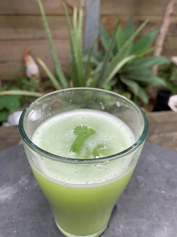 Gourd juice 6