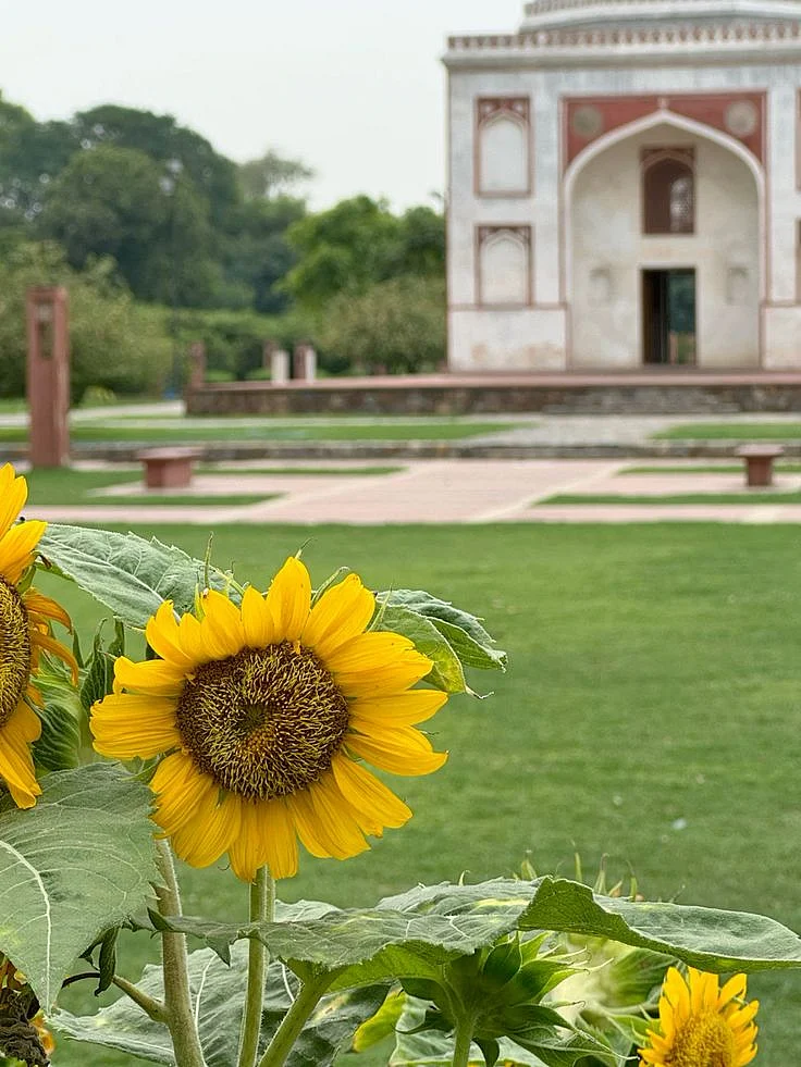 Sunder Nursery
