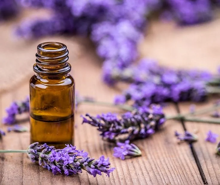 lavender oil 1
