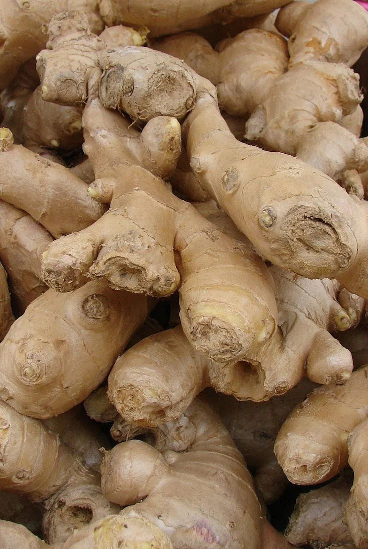 Ginger. 5