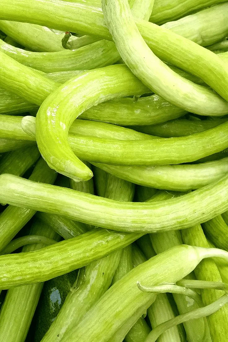Cucumber 2