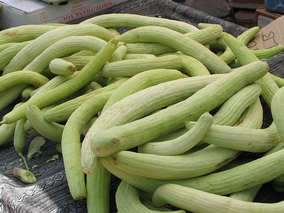 Cucumber 7