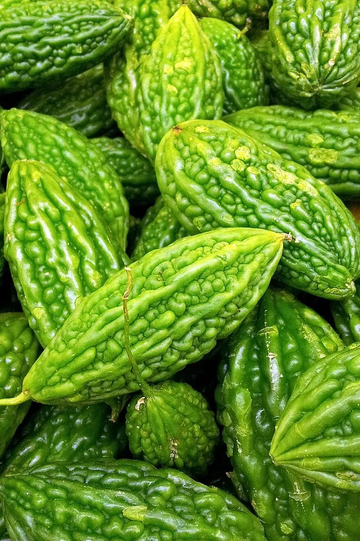 Bitter gourd