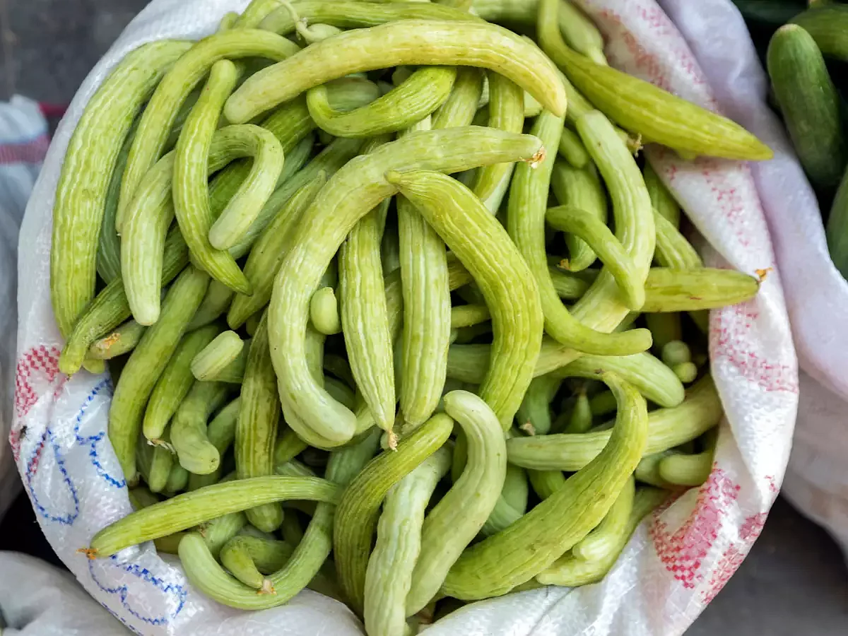 Cucumber 3