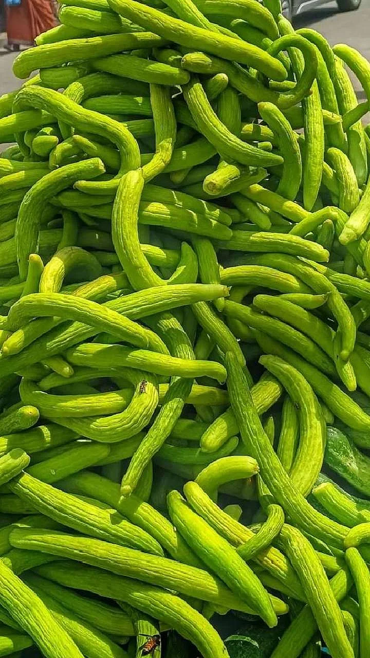 Cucumber 6