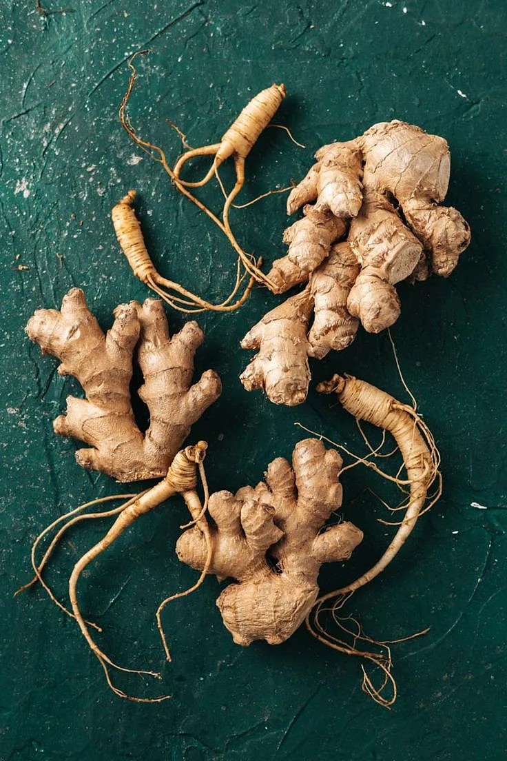 Ginger