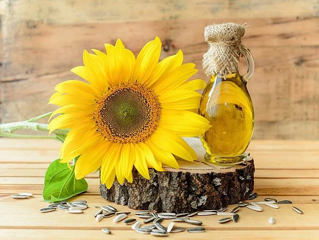 Sunflower seeds . 4
