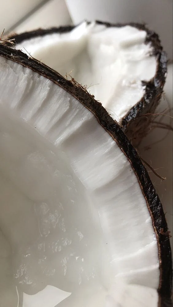 Coconut