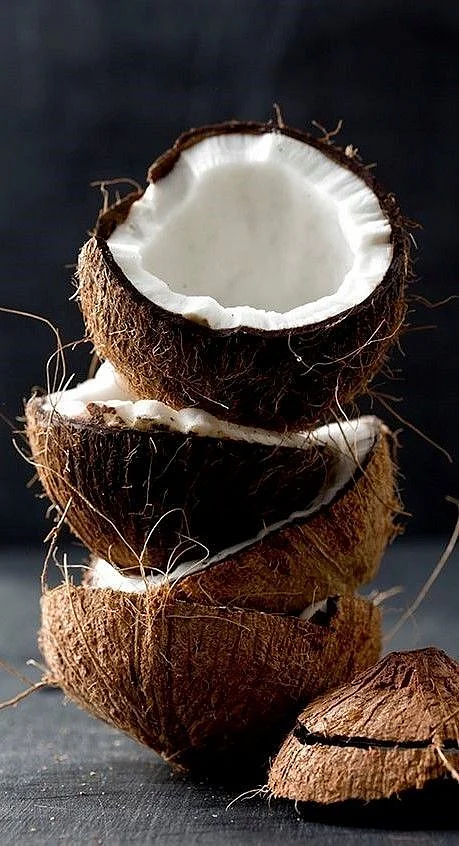 Coconut