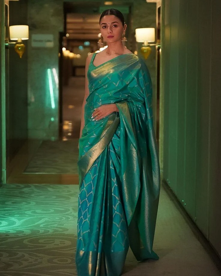 Kanjivaram Saree 5
