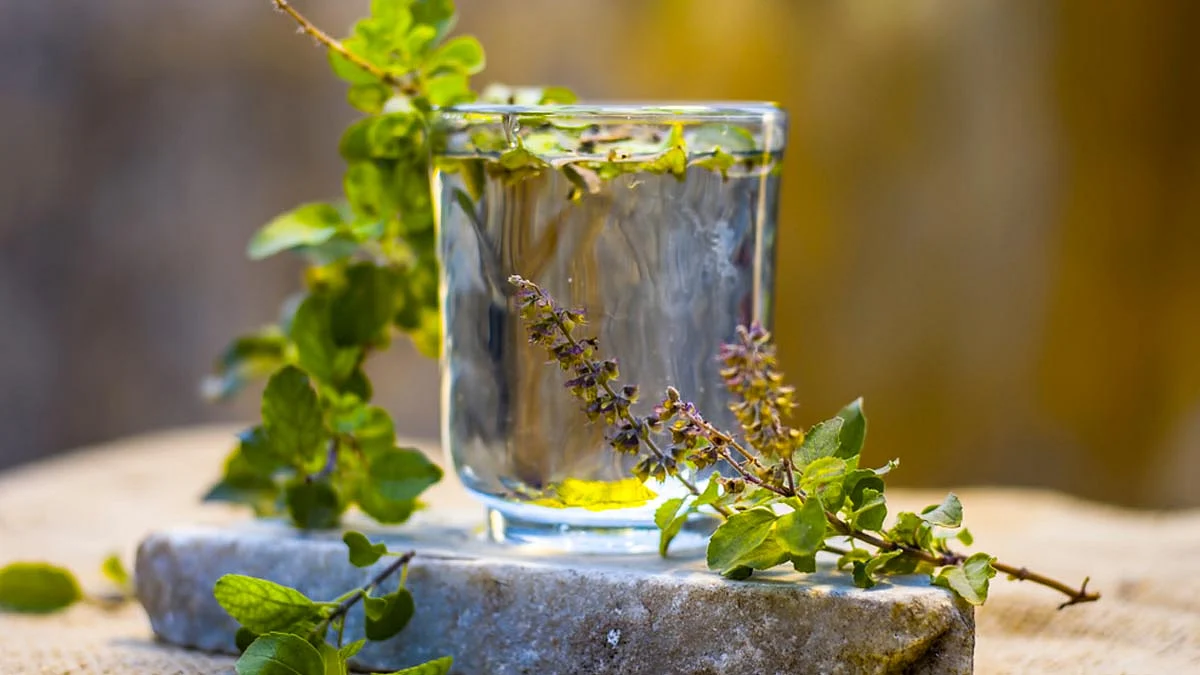 What are the 10 benefits of Tulsi
