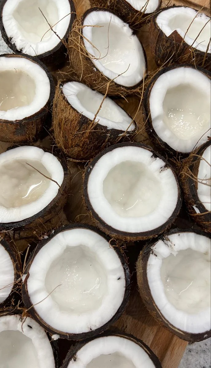 Coconut
